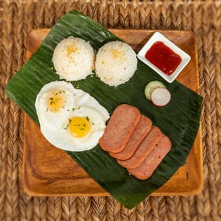 Spamsilog